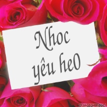 Nhocyeuhe0